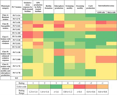 Elucidating the Role of Virulence Traits in the Survival of Pathogenic E. coli PI-7 Following Disinfection